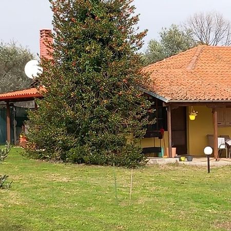 リトコロン Olympos Houseヴィラ エクステリア 写真